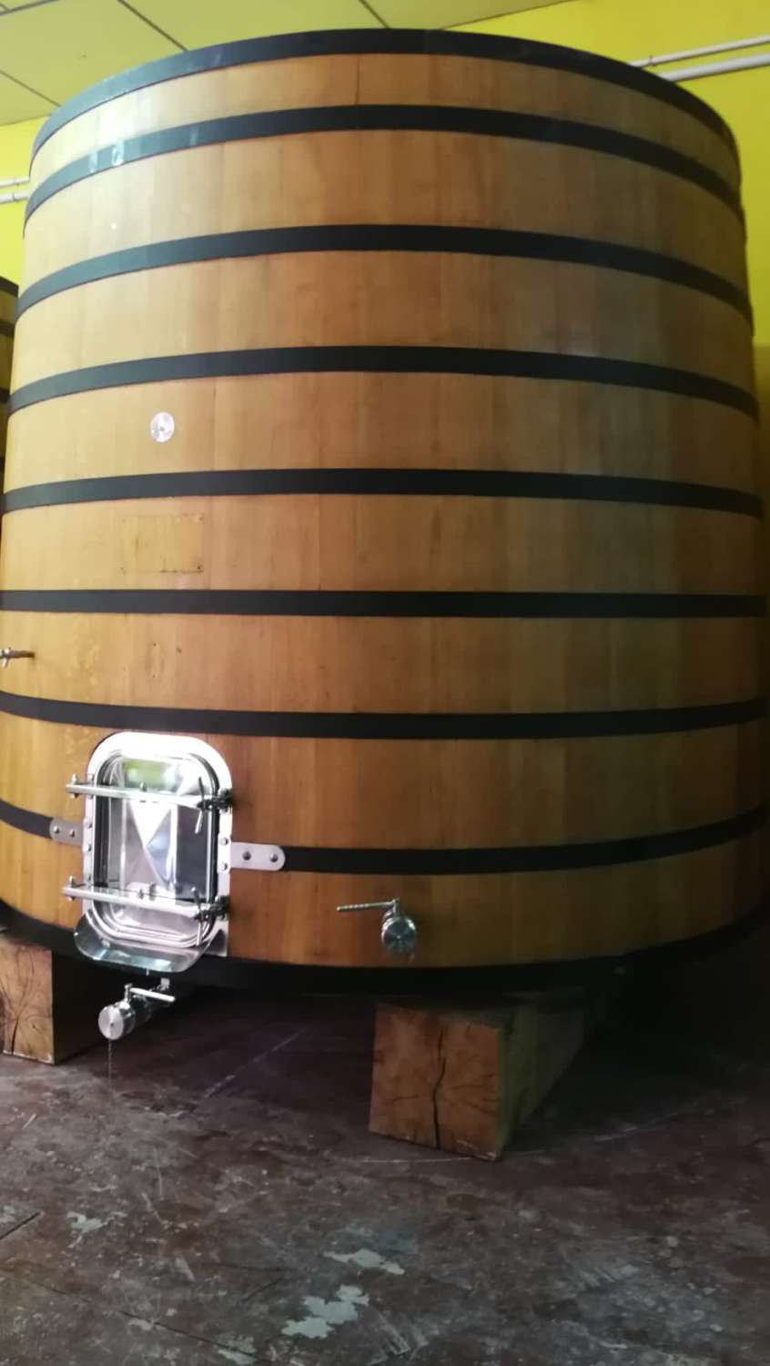 Cantina e vigneti in funzione