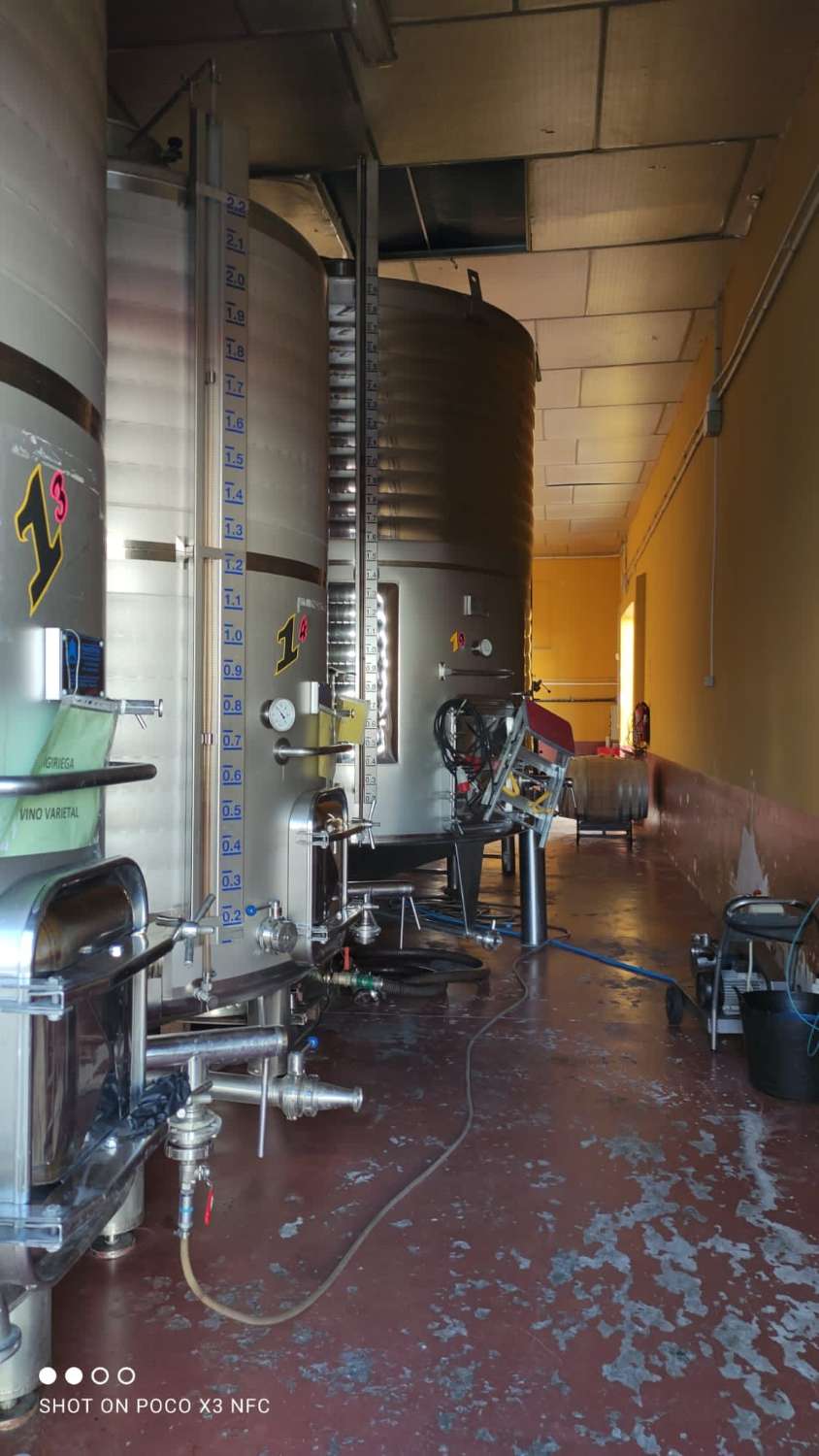 Cantina e vigneti in funzione