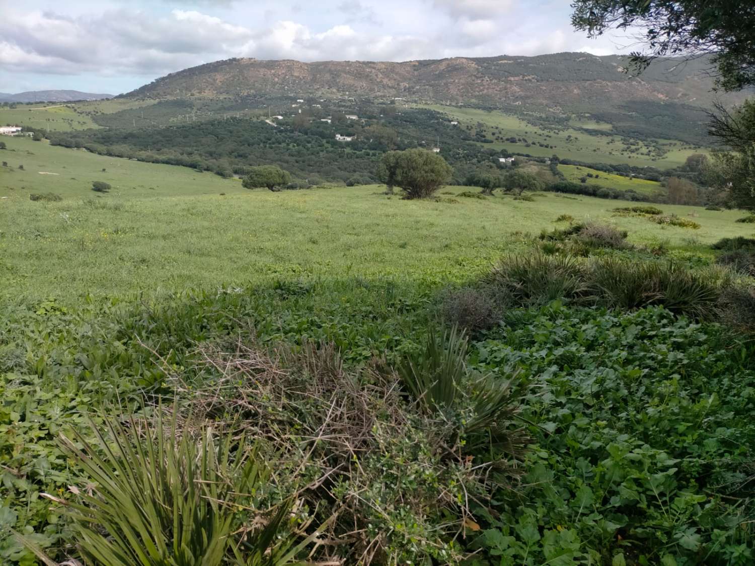 11 propriétés rustiques de 83 hectares. en tout