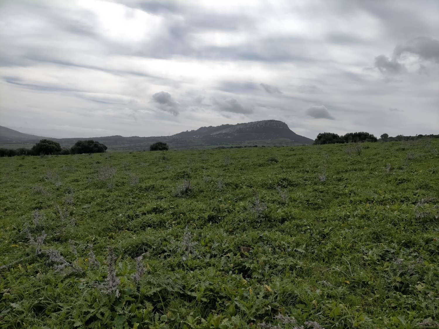 11 propriétés rustiques de 83 hectares. en tout