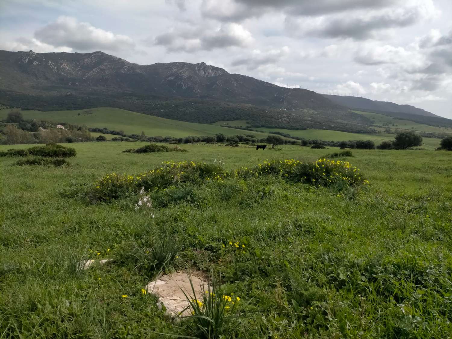 قطعة أرض للبيع في Facinas (Tarifa)