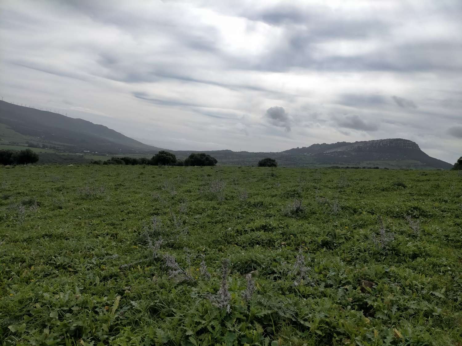 11 propriétés rustiques de 83 hectares. en tout