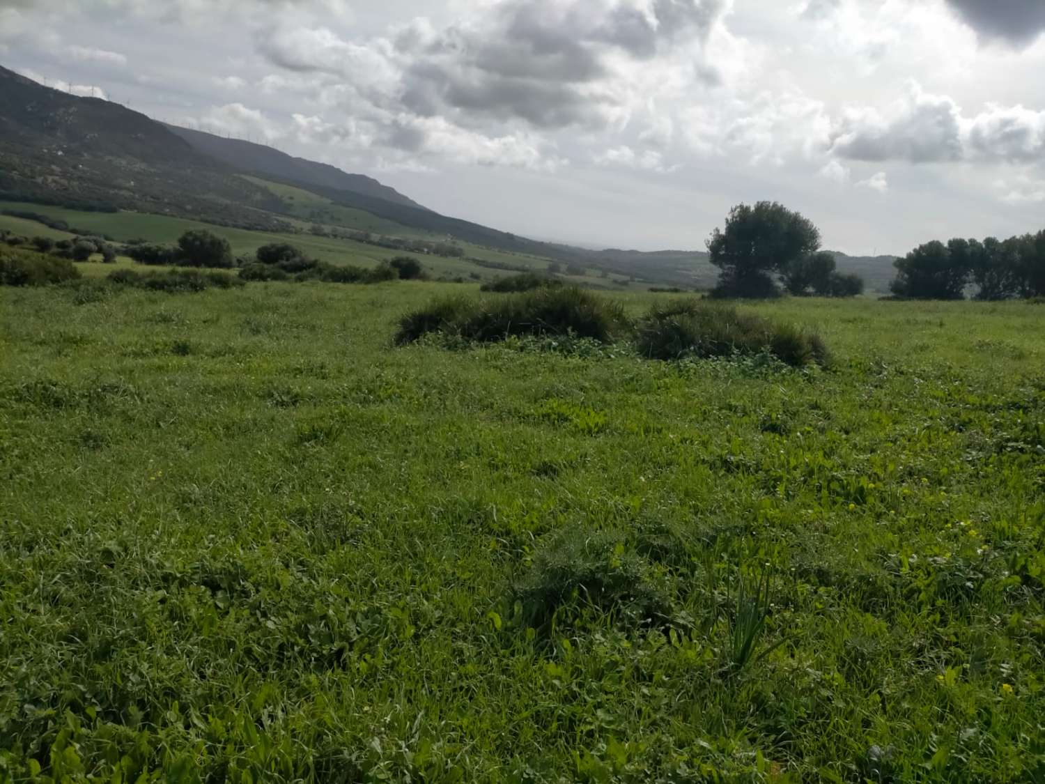 قطعة أرض للبيع في Facinas (Tarifa)