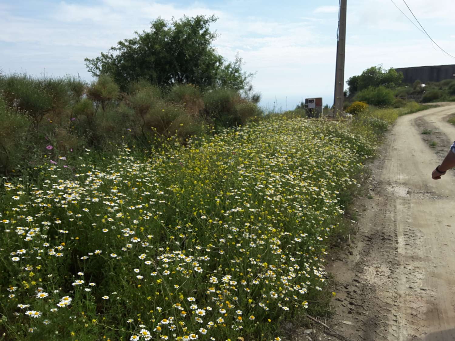 11 000 m² tomt i Rio de la Miel (Nerja)