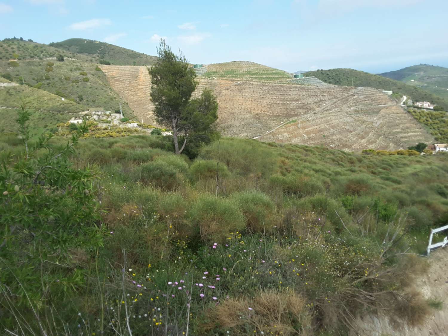 Terrain de 9600 m² à Rio de la Miel (Nerja)