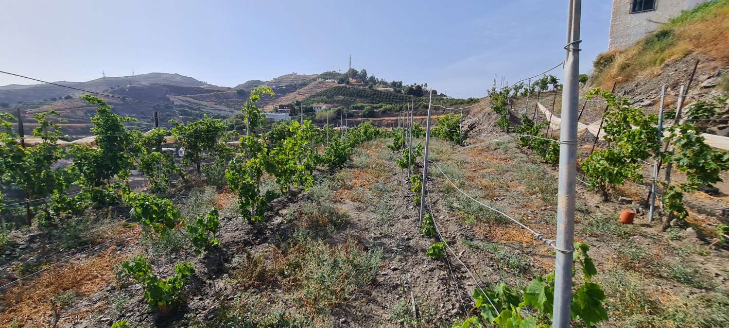 Villa con increíbles vistas con cortijo y terreno