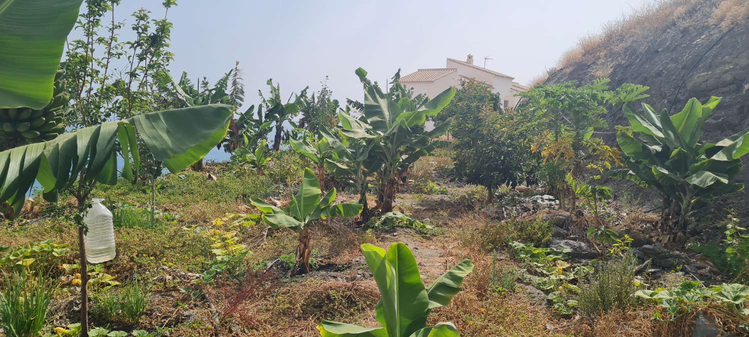 Villa con vista incredibile con casale e terreno