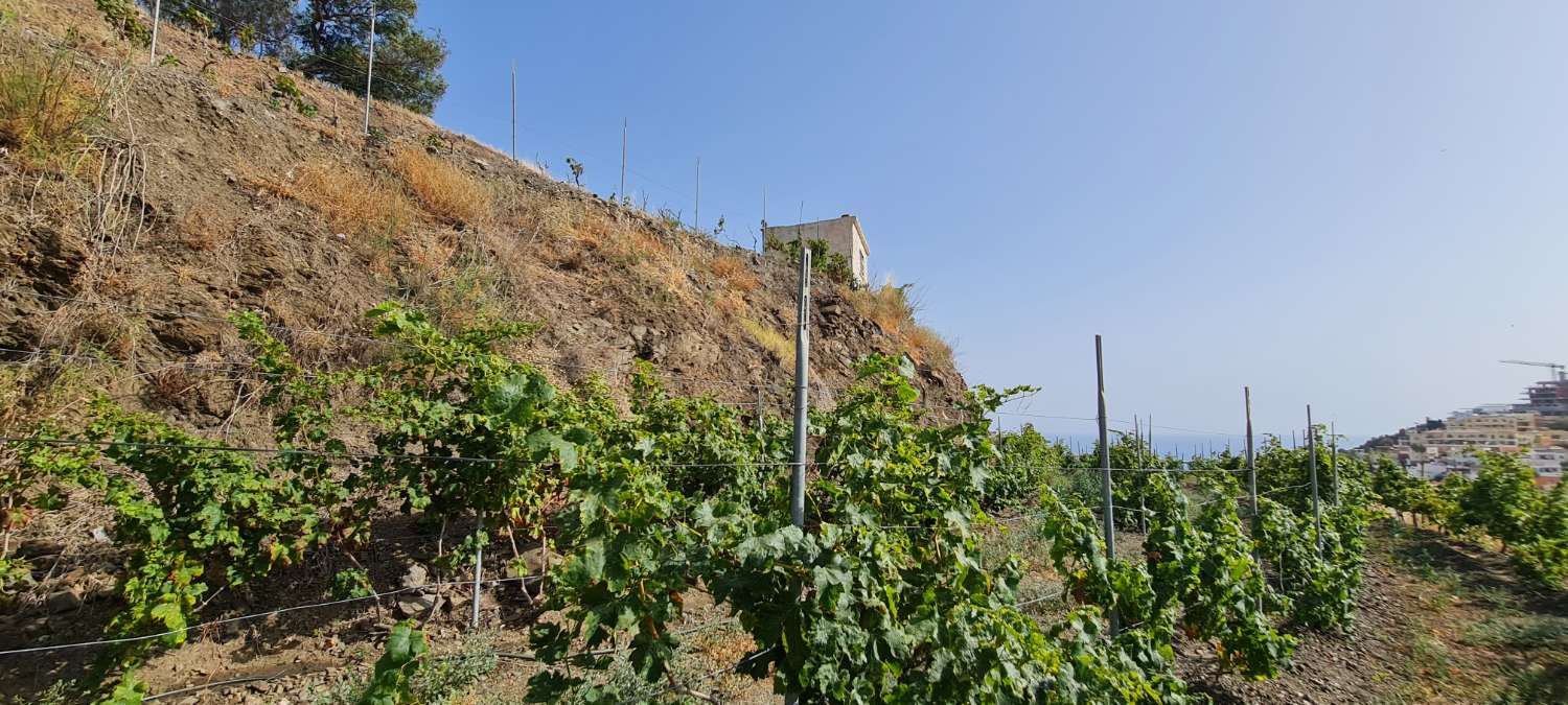 Villa avec vue incroyable avec ferme et terrain