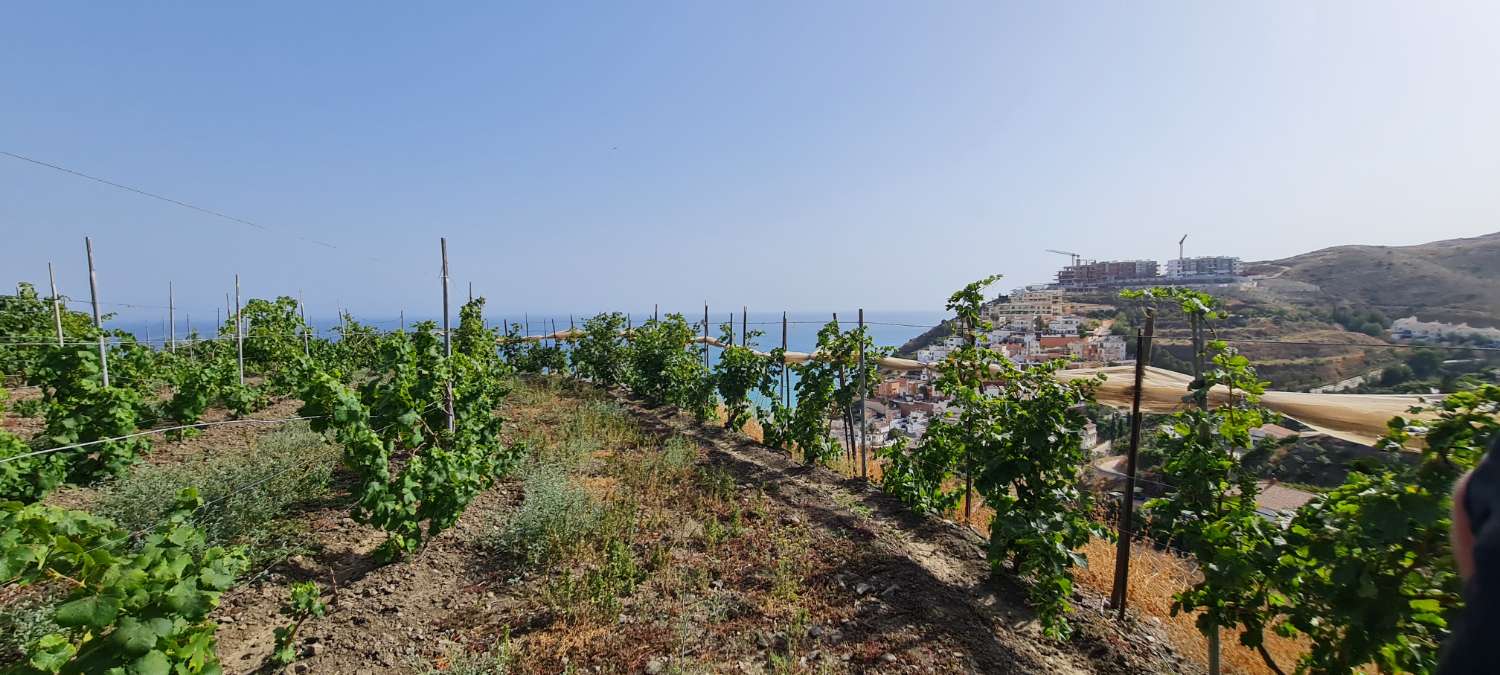 Villa med otrolig utsikt med bondgård och mark