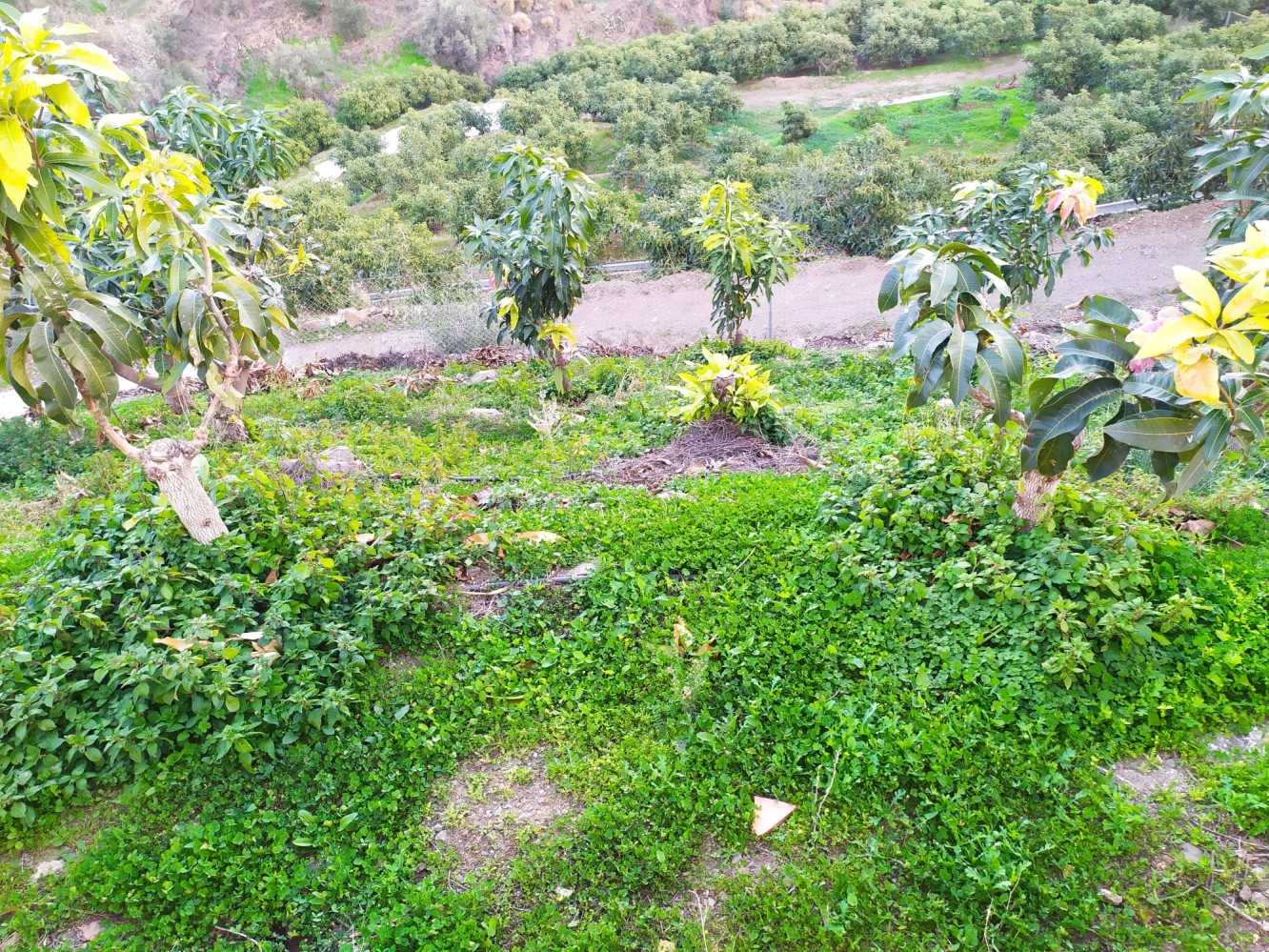 Casa de campo cerca de Torrox